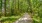 Bainbridge Midlothian | Your Community